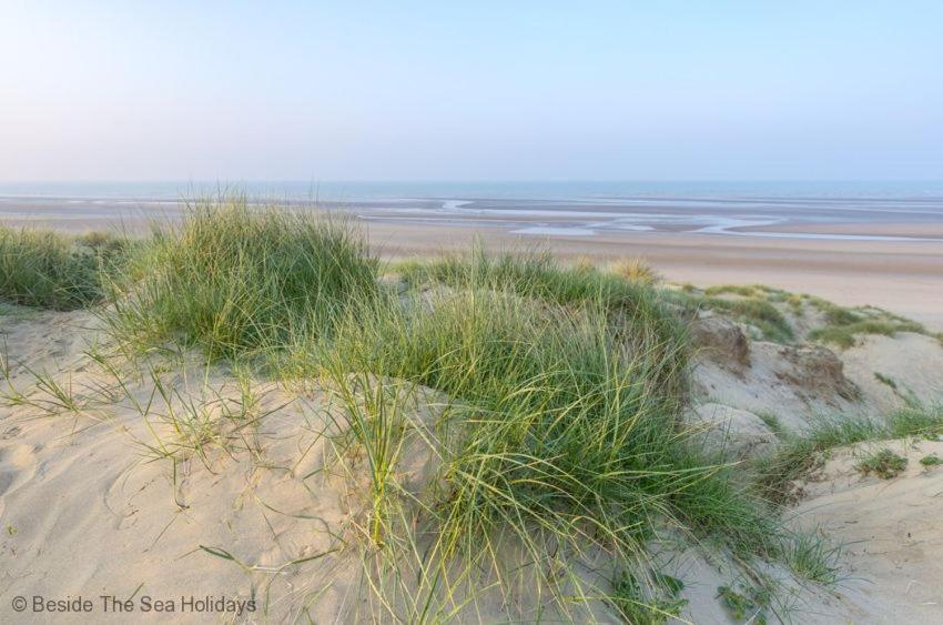 Beachcomber * Camber